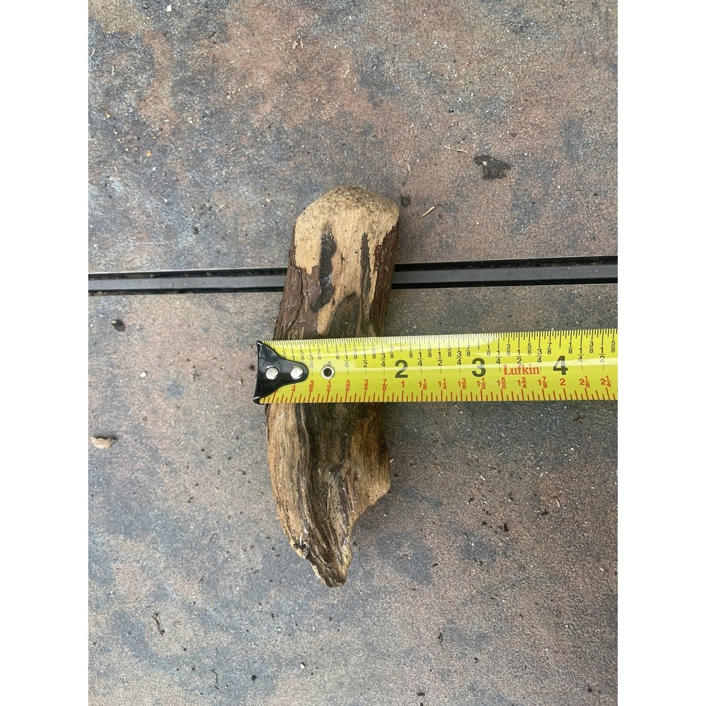 Natural Driftwood for Plants Terrarium‎ Taxidermy Art Projects - Picture 4 of 4